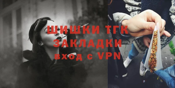 винт Каменка