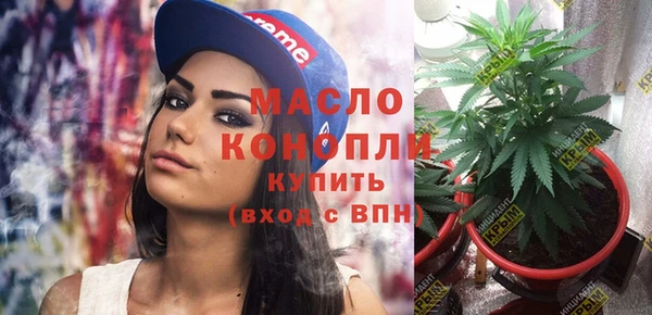 винт Каменка