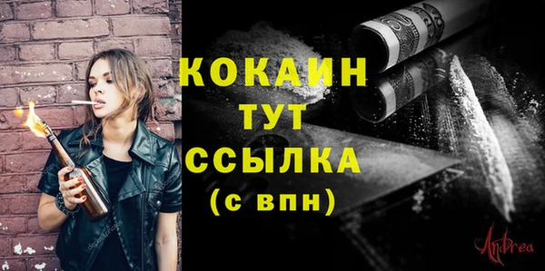 винт Каменка