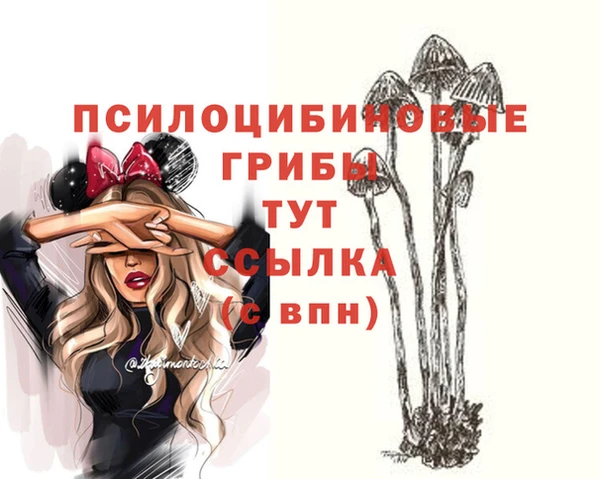 эйфоретик Каменногорск