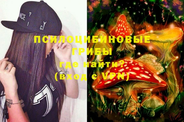 эйфоретик Каменногорск