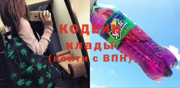 винт Каменка