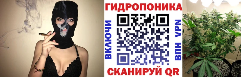 Купить закладки  Пугачёв  Канабис сатива 
